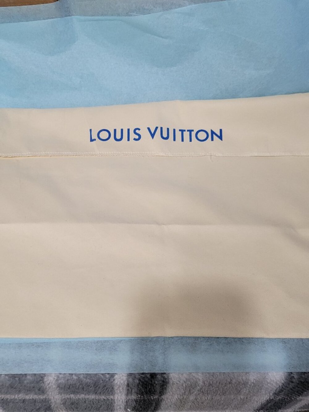 P2943 Louis Vuitton Dustbag  19x11